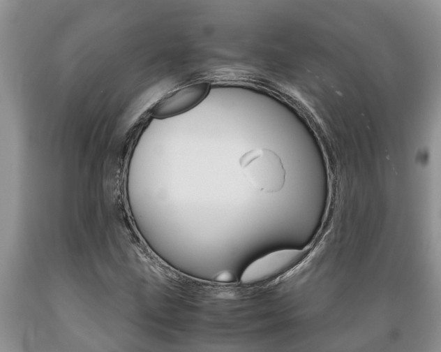 X0000089731211200706210909