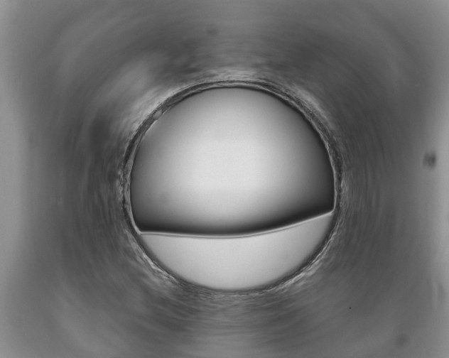X0000089731212200706210909