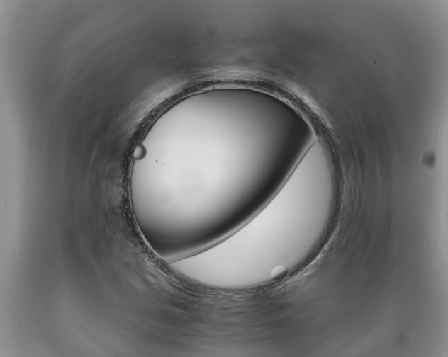 X0000089731213200706210909