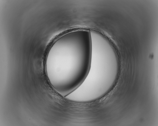 X0000089731214200706210909