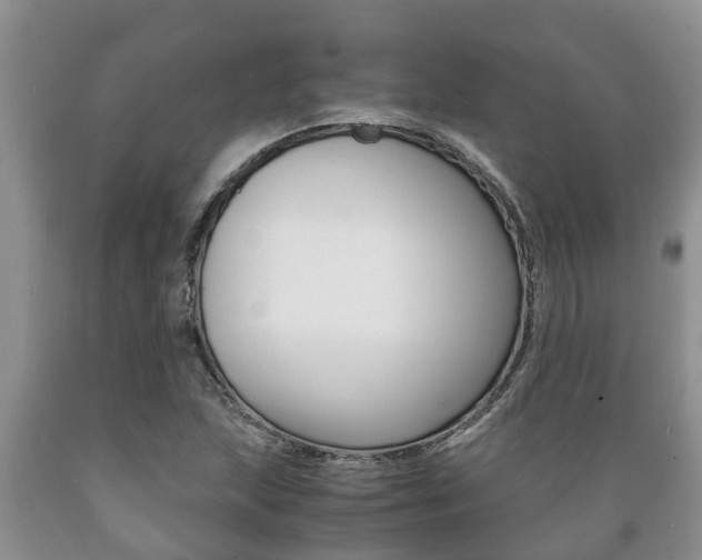 X0000089731215200706210909
