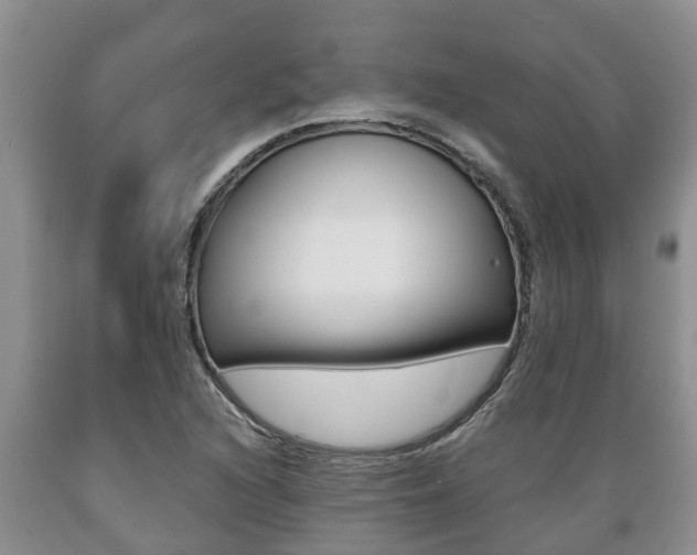 X0000089731216200706210909