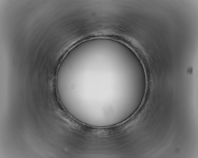 X0000089731217200706210909