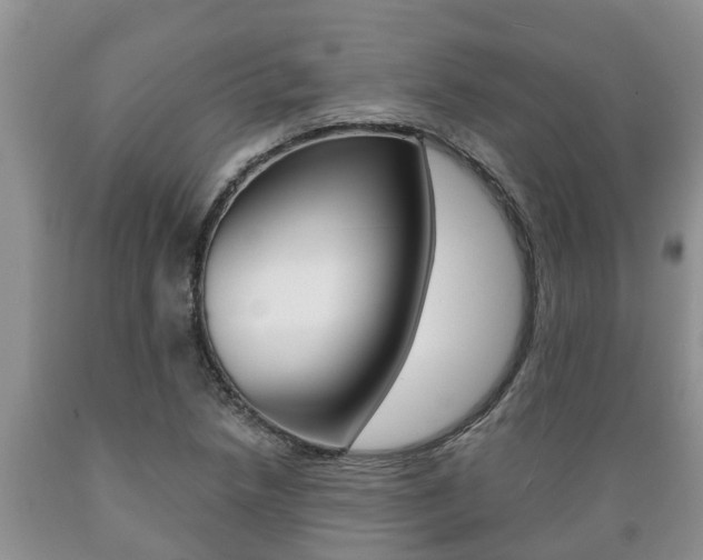 X0000089731218200706210909