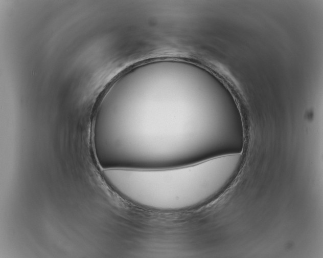 X0000089731220200706210909
