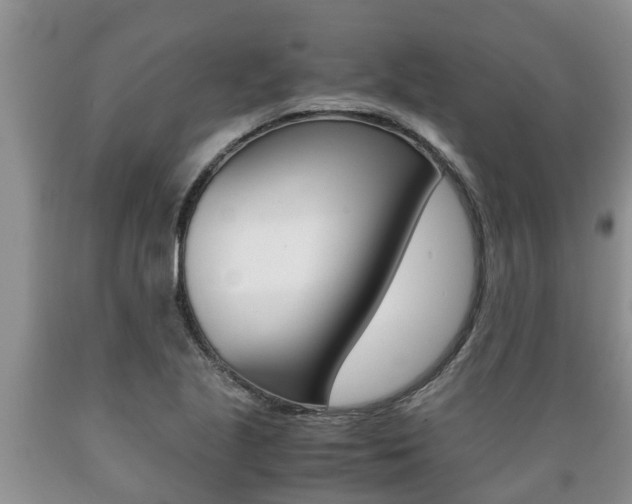 X0000089731221200706210909