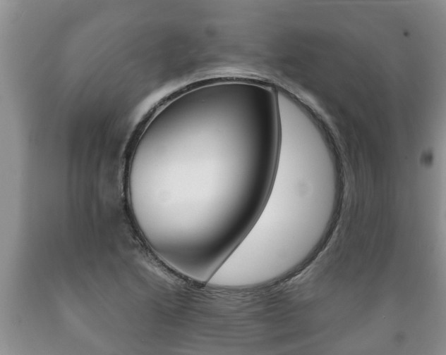 X0000089731222200706210909