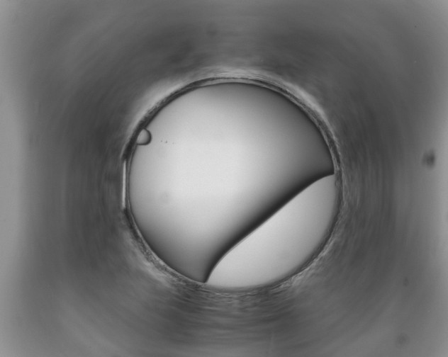 X0000089731223200706210909