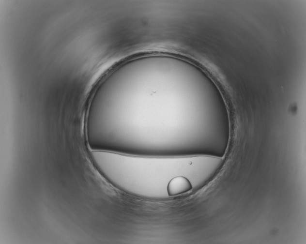 X0000089731224200706210909