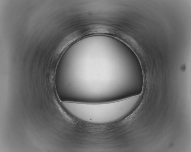 X0000089731225200706210909