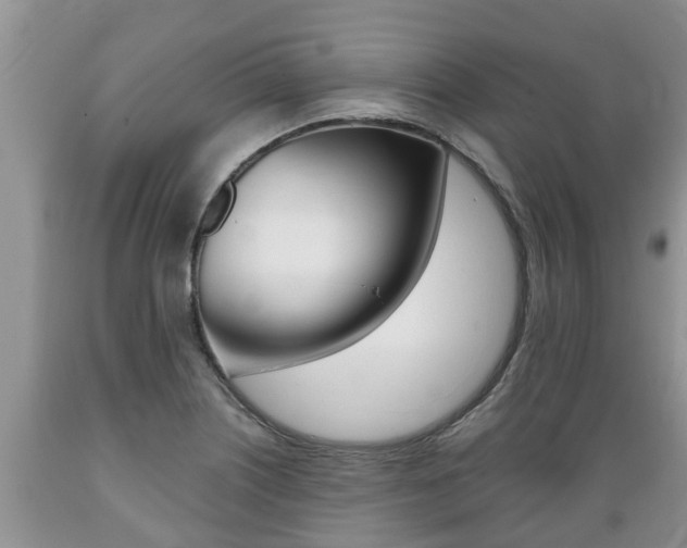 X0000089731226200706210909