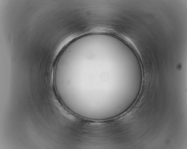 X0000089731227200706210909