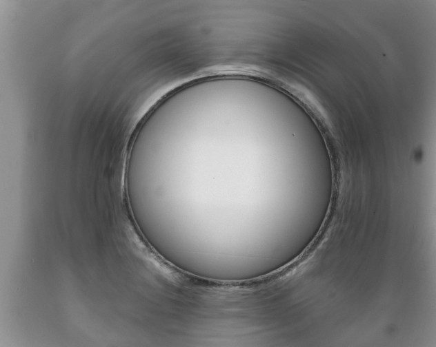 X0000089731228200706210909