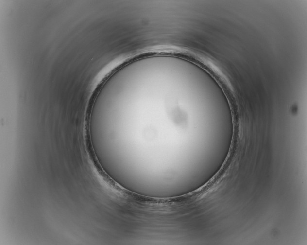X0000089731229200706210909