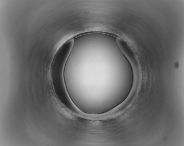X0000089731230200706210909