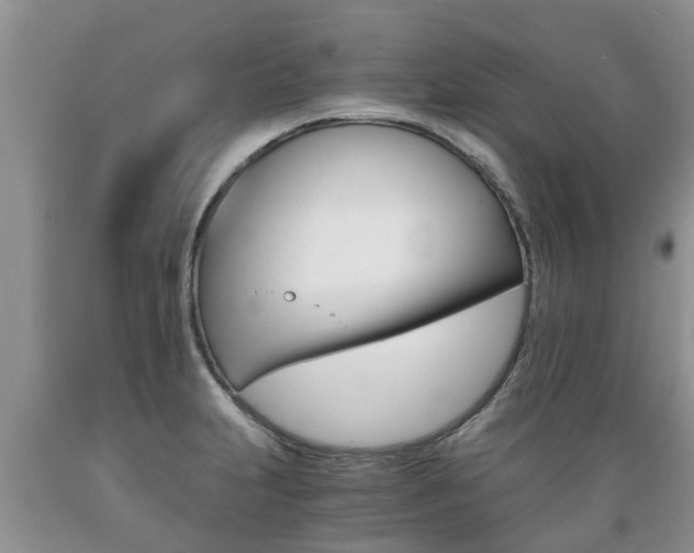 X0000089731231200706210909