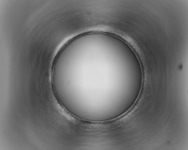 X0000089731232200706210909
