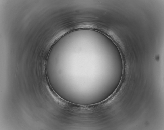 X0000089731233200706210909