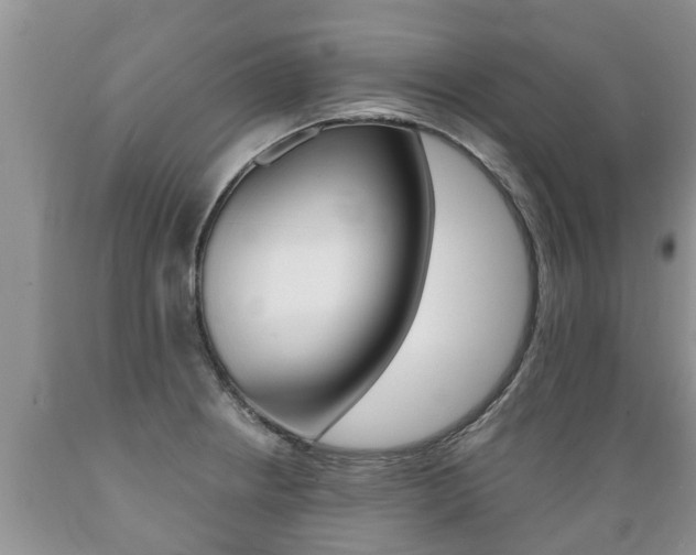 X0000089731234200706210909