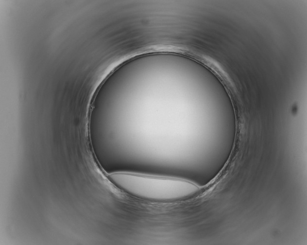X0000089731236200706210909
