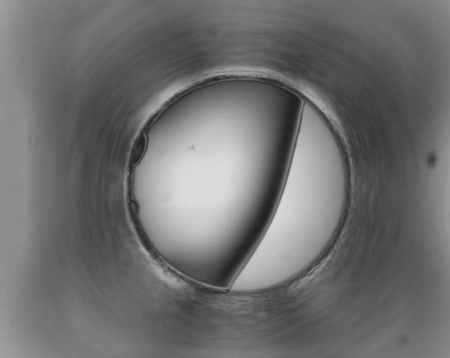 X0000089731237200706210909