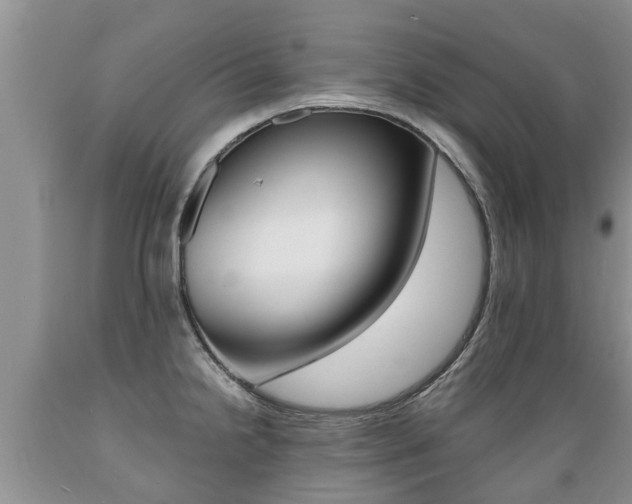 X0000089731238200706210909