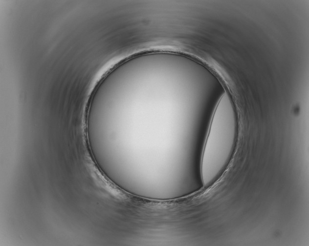 X0000089731240200706210909
