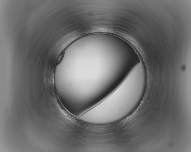 X0000089731241200706210909