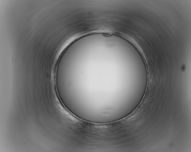 X0000089731243200706210909