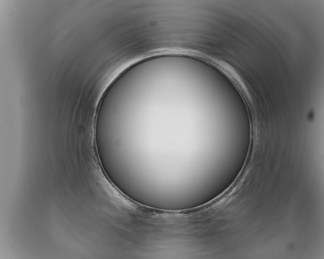 X0000089731244200706210909