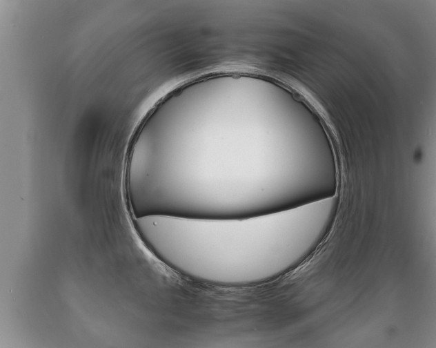 X0000089731245200706210909