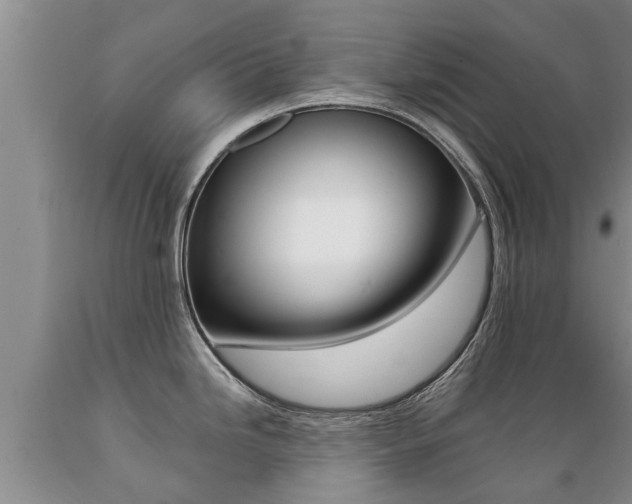 X0000089731246200706210909