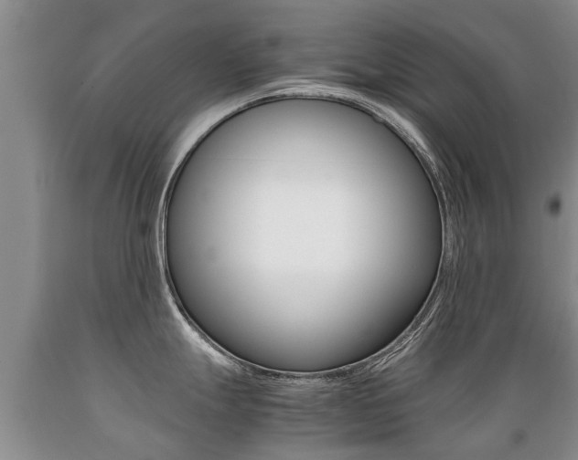 X0000089731247200706210909