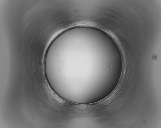 X0000089731248200706210909
