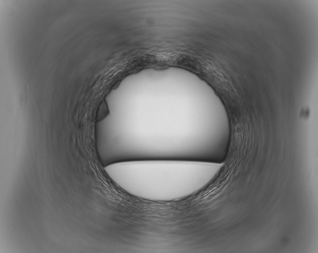 X0000089731249200706210909