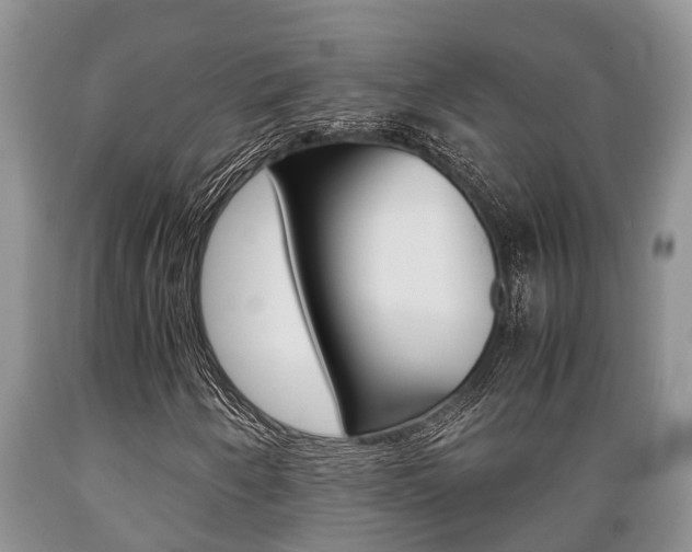 X0000089731250200706210909