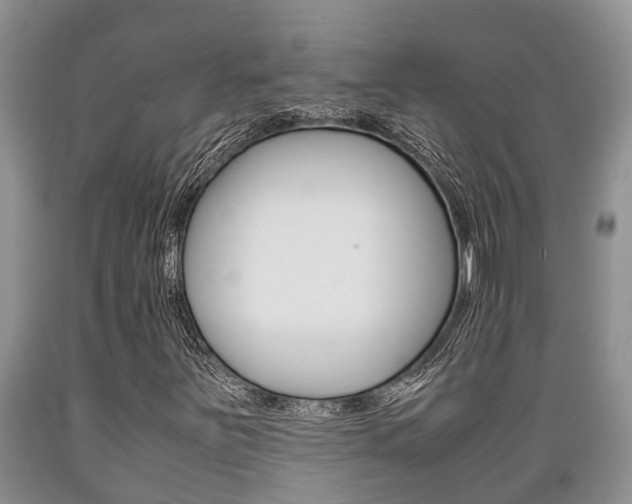 X0000089731251200706210909