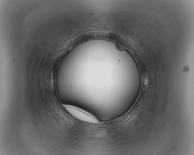 X0000089731252200706210909