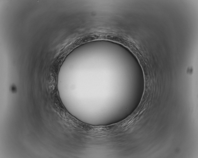 X0000089731253200706210909