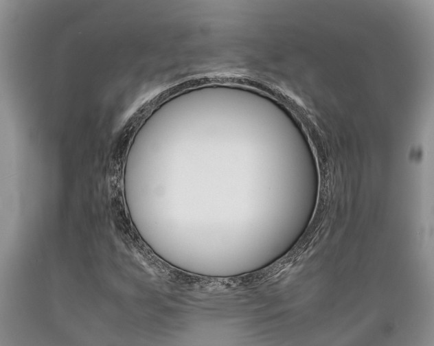 X0000089731255200706210909
