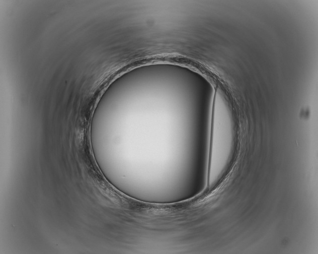 X0000089731257200706210909