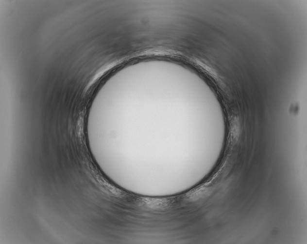 X0000089731258200706210909