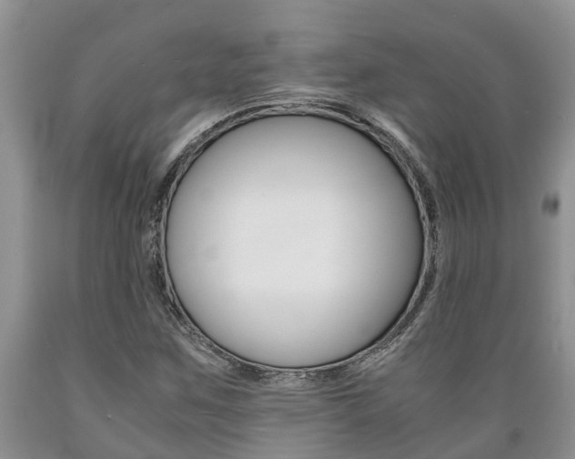 X0000089731259200706210909