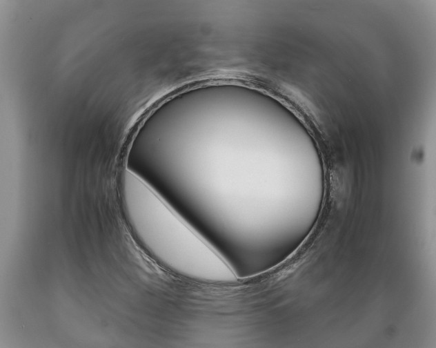 X0000089731260200706210909