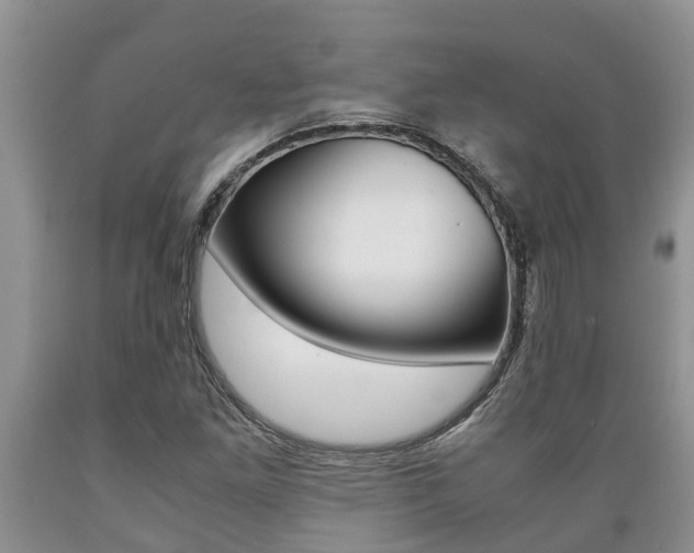 X0000089731261200706210909