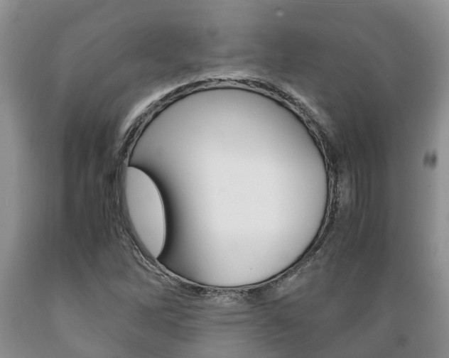 X0000089731262200706210909