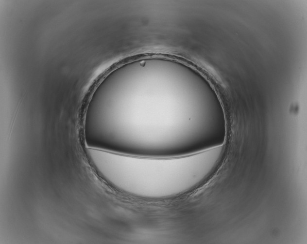 X0000089731264200706210908