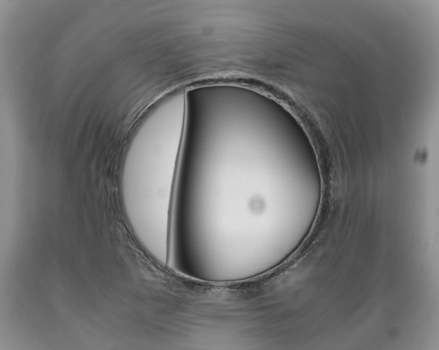 X0000089731265200706210908