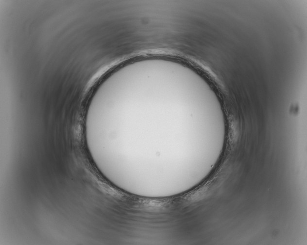 X0000089731266200706210908