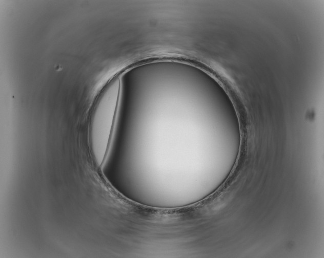 X0000089731269200706210908